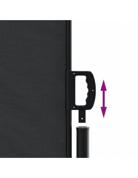 Tenda da Sole Laterale Retrattile Nera 120x500 cm