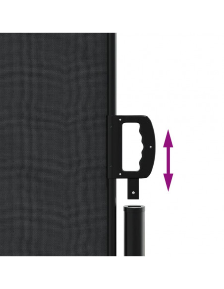 Tenda da Sole Laterale Retrattile Nera 180x600 cm