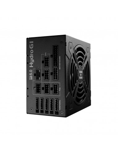FSP Hydro G PRO ATX3.0(PCIe5.0) 1200W alimentatore per computer 20+4 pin ATX ATX Nero
