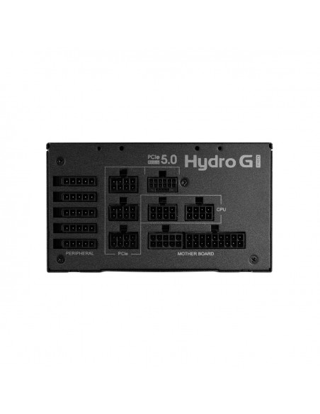 FSP Hydro G PRO ATX3.0(PCIe5.0) 1200W alimentatore per computer 20+4 pin ATX ATX Nero