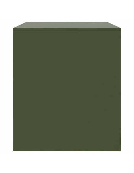 Mobile TV Verde Oliva 67x39x44 cm in Acciaio