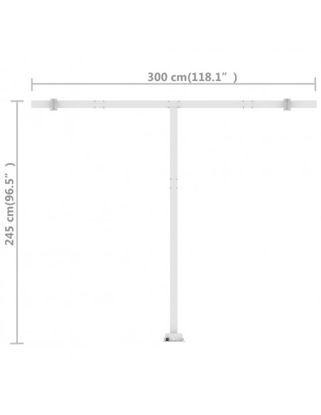 Tenda da Sole Manuale Autoportante 300x250 cm Antracite