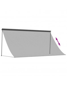 Tenda da Sole Retrattile Antracite 300x150 cm Tessuto e Acciaio