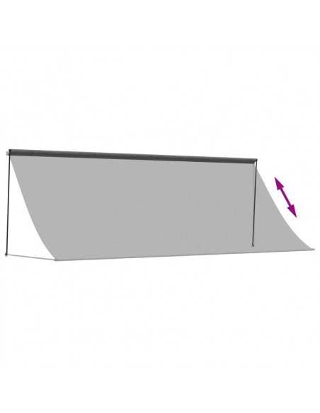 Tenda da Sole Retrattile Antracite 350x150 cm Tessuto e Acciaio