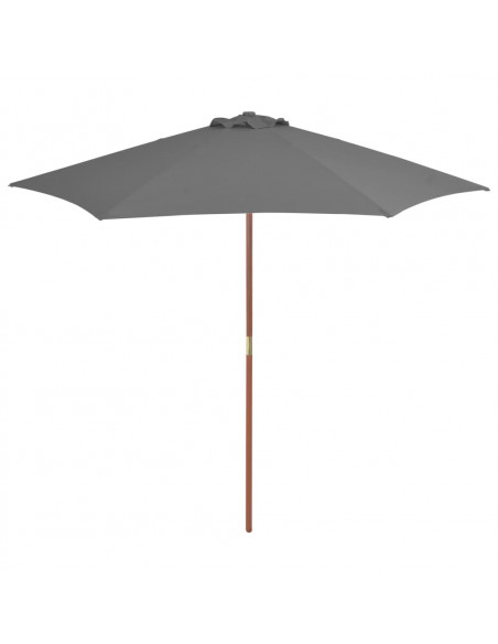 Ombrellone da Esterni con Palo in Legno 270 cm Antracite