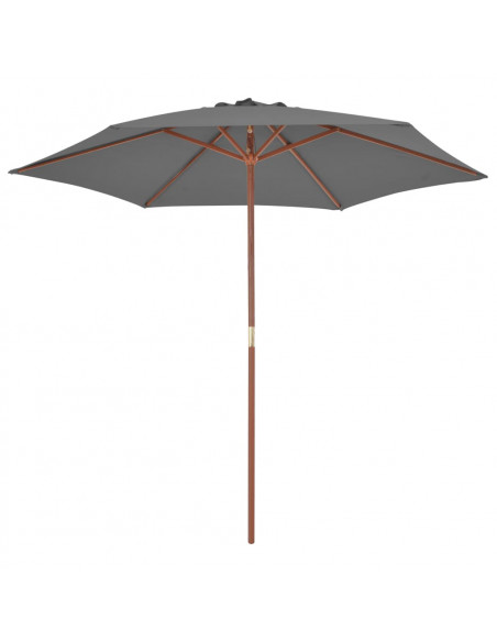 Ombrellone da Esterni con Palo in Legno 270 cm Antracite