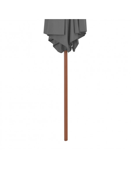 Ombrellone da Esterni con Palo in Legno 270 cm Antracite