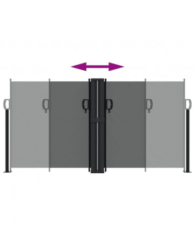 Tenda da Sole Laterale Retrattile Antracite 120x1000 cm