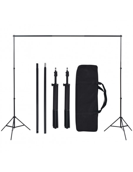Set Studio Fotografico con Sfondi e Luci Softbox