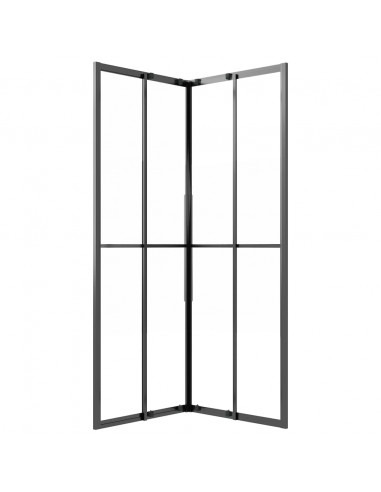 Cabina Doccia ESG Smerigliato 80x80x180 cm Nera