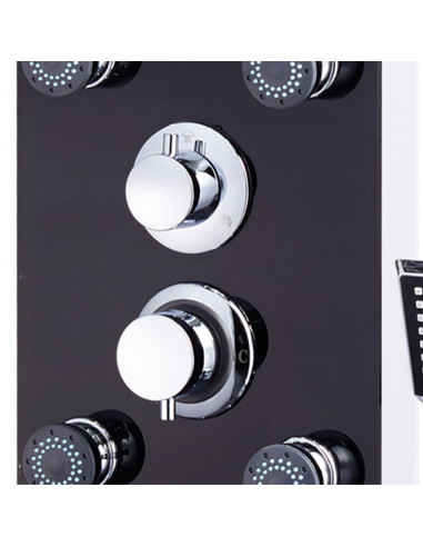 Pannello Doccia in Vetro 25x44,6x130 cm Nero