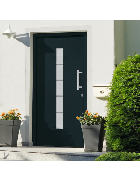 Porta d'Ingresso in Alluminio e PVC Antracite 100x210 cm