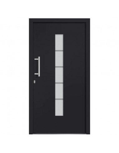 Porta d'Ingresso in Alluminio e PVC Antracite 100x200 cm