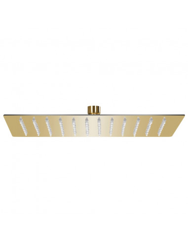 Testa Doccia a Pioggia in Acciaio Inox 30x20cm Rettangolare Oro
