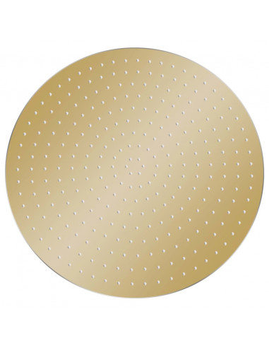 Testa Doccia a Pioggia in Acciaio Inox 40 cm Rotonda Oro