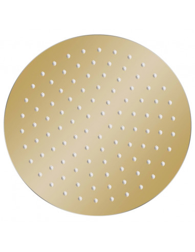 Testa Doccia a Pioggia in Acciaio Inox 25 cm Rotonda Oro