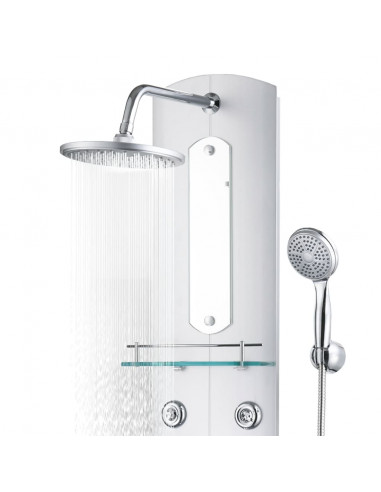 Pannello Doccia 25x43x110 cm Argento