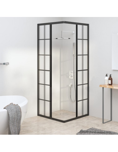 Cabina Doccia ESG Smerigliato 70x70x180 cm Nera