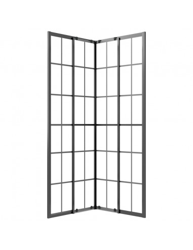 Cabina Doccia ESG Smerigliato 70x70x180 cm Nera