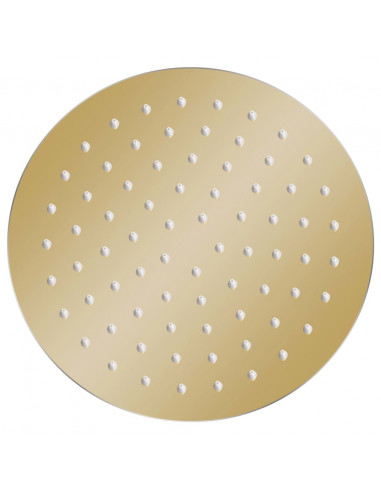 Testa Doccia a Pioggia in Acciaio Inox 20 cm Rotonda Oro