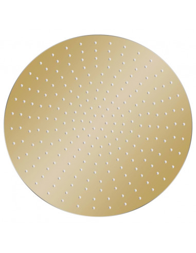 Testa Doccia a Pioggia in Acciaio Inox 50 cm Rotonda Oro