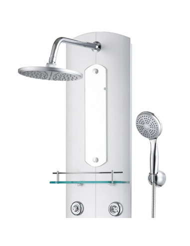 Pannello Doccia 25x43x120 cm Argento