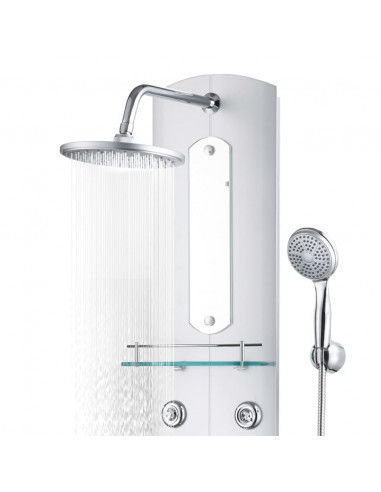 Pannello Doccia 25x43x120 cm Argento