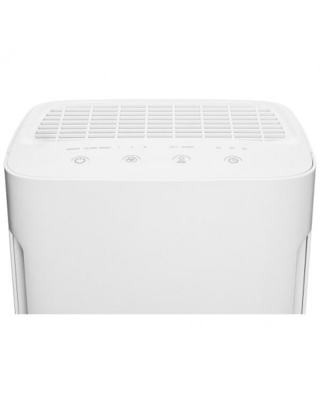 PURIFICATORE