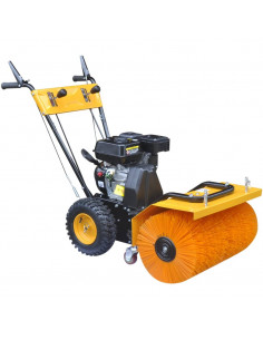 Spazzatrice a Benzina Multifunzione 6,5 HP 2
