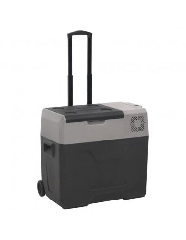 Borsa Frigo con Manico e Ruote Nera e Grigia 50 L Polipropilene