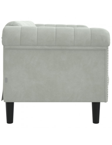 Divano a 2 Posti Grigio Chiaro in Velluto