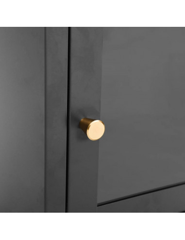 Comodino Antracite 40x30x54,5 cm in Acciaio e Vetro