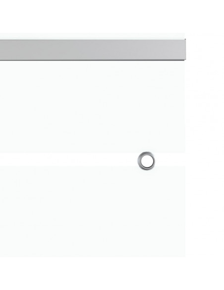 Porta Scorrevole in Vetro ESG e Alluminio 90x205cm Argento