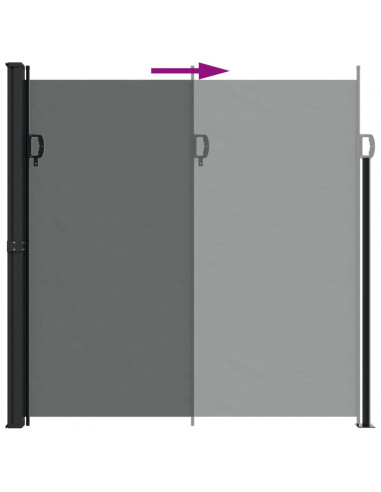Tenda da Sole Laterale Retrattile Antracite 200x600 cm