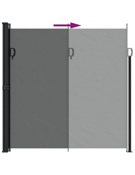 Tenda da Sole Laterale Retrattile Antracite 200x600 cm