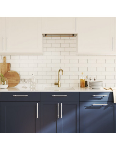 Maniglie per Mobili 20 pz Argento 160 mm in Acciaio Inox