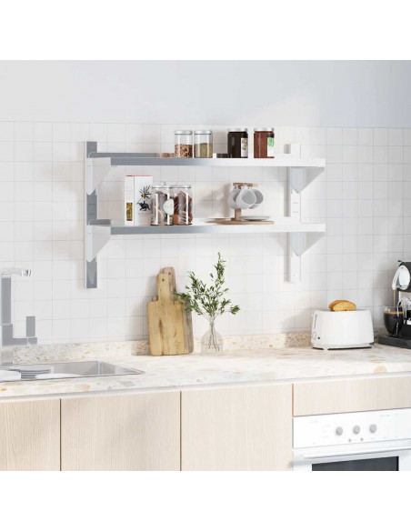 Mensola a Muro 2 Ripiani 100x23,5x60cm Argento in Acciaio Inox