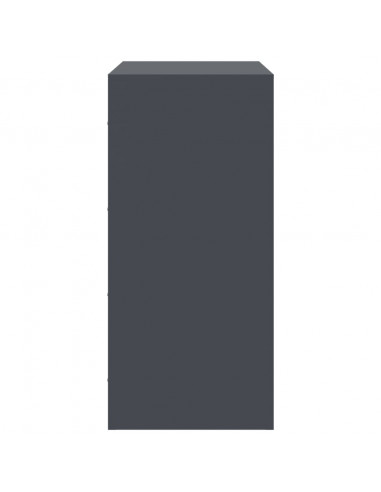 Credenza Antracite 67x39x83 cm in Acciaio