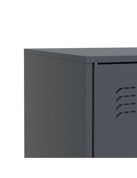 Credenza Antracite 67x39x83 cm in Acciaio