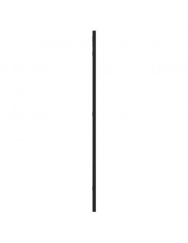 Specchio da Parete Nero 40x80 cm Rettangolare in Ferro