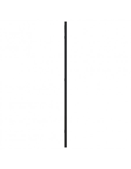 Specchio da Parete Nero 40x80 cm Rettangolare in Ferro