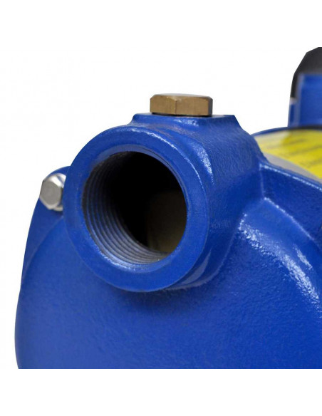 Pompa a Getto 1300 W 5100 L/h Blu