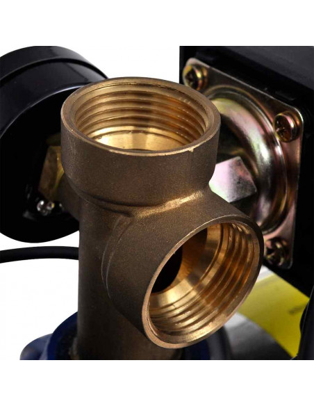 Pompa a Getto con Manometro 1300 W 5100 L/h Blu