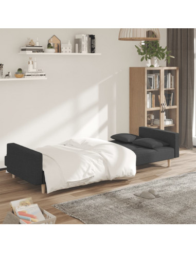 Divano Letto a 2 Posti con 2 Cuscini Grigio Scuro in Tessuto