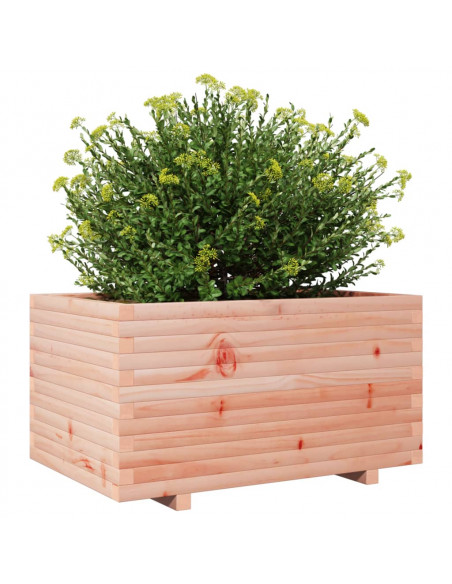 Fioriera da Giardino 90x60x49,5 cm in Legno Massello di Douglas