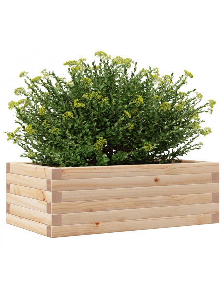Fioriera da Giardino 70x40x23 cm in Legno Massello di Pino