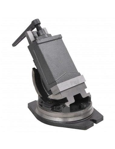 Morsa Inclinabile a 2 Assi 160 mm