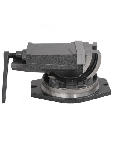 Morsa Inclinabile a 2 Assi 160 mm