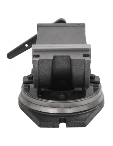 Morsa Inclinabile a 2 Assi 160 mm