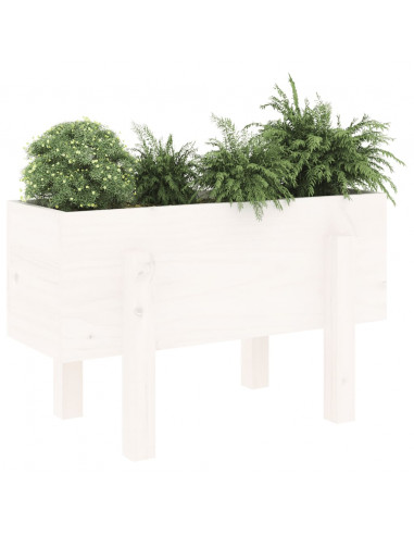 Fioriera da Giardino Bianca 62x30x38 cm Legno Massello di Pino